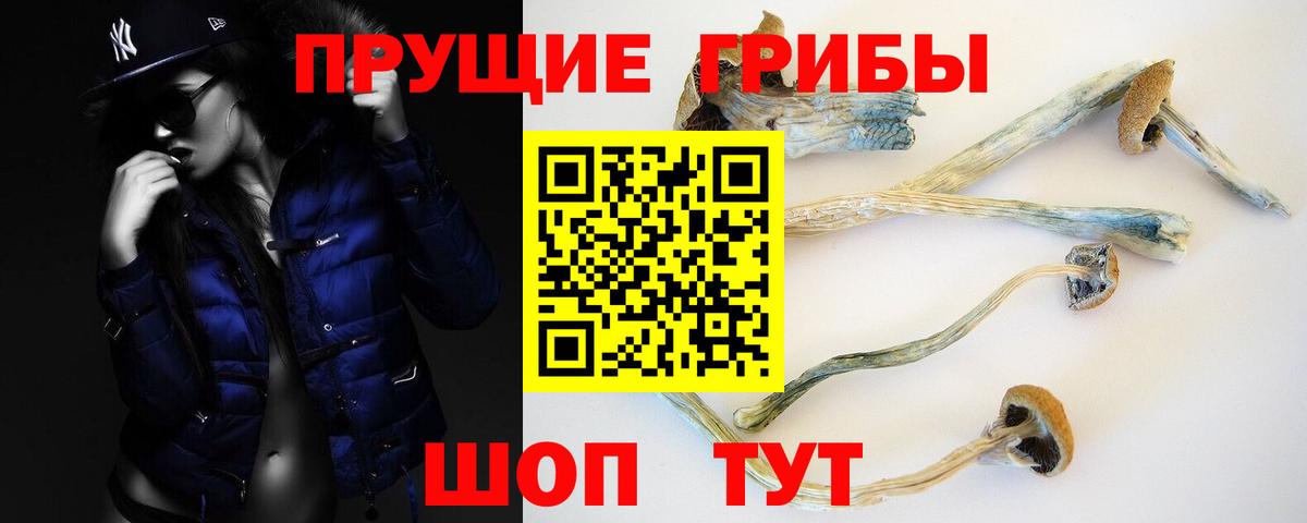 Магадан  Галлюциногенные грибы Cubensis  Псилоцибиновые грибы Cubensis  Вход с VPN 