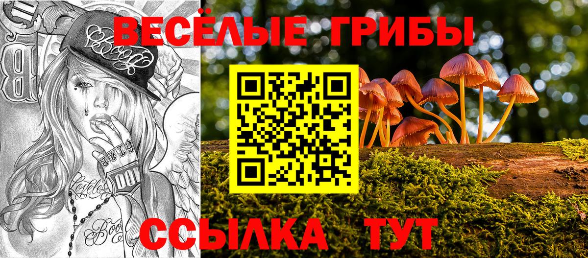 Галлюциногенные грибы ЛСД Магадан