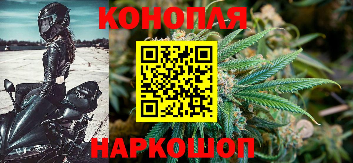 Бошки Шишки MAZAR Магадан